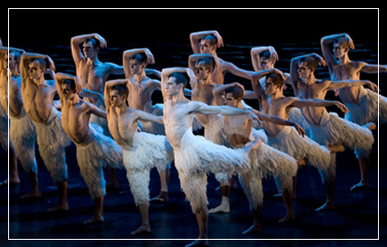 swan lake boston opera house swan lake boston opera house